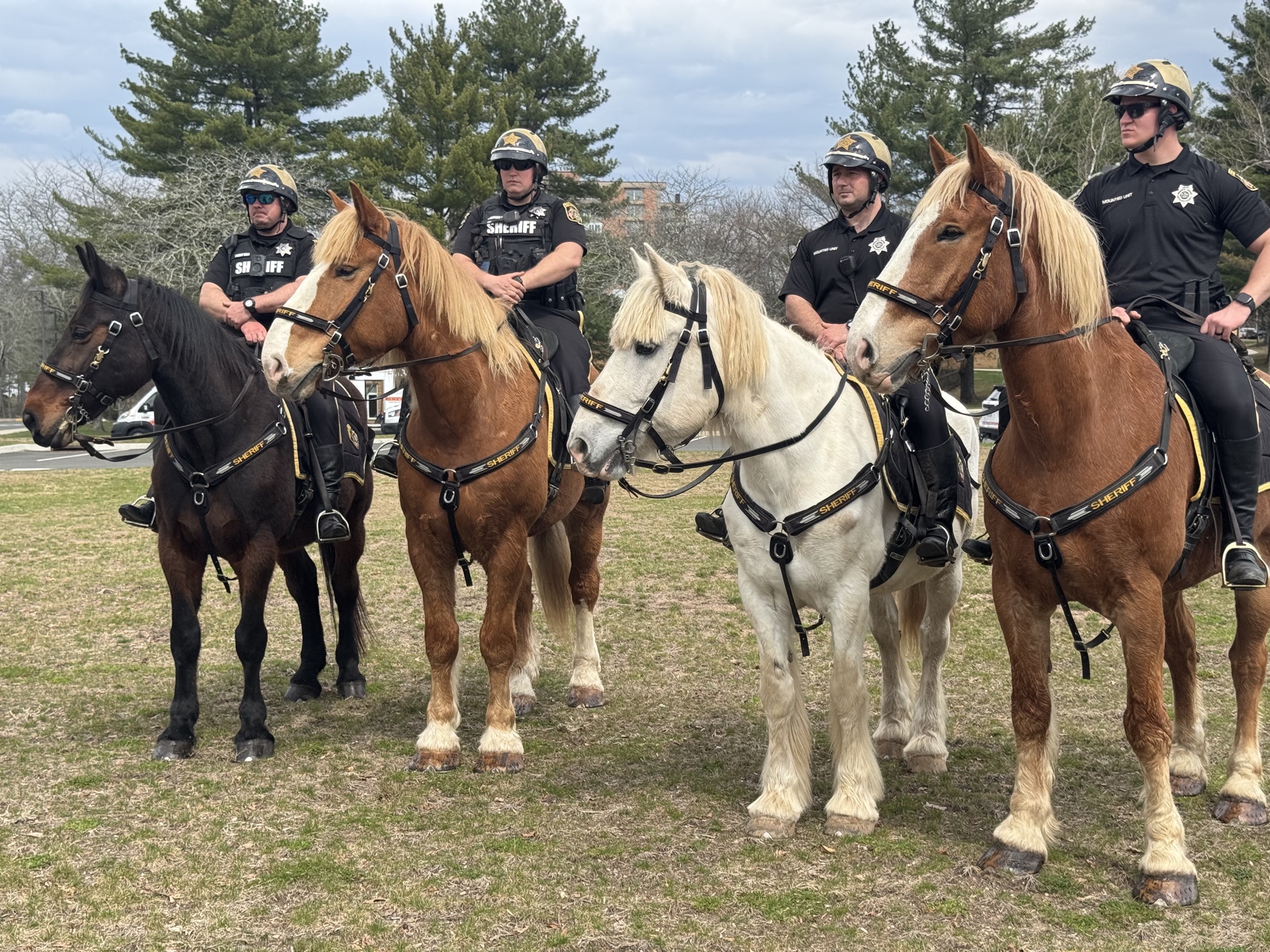 Mounted sheriff unit introducing first responder pathways